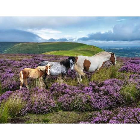 Wild Horses in the Heather 2000pc Jigsaw Puzzle Extra Image 1